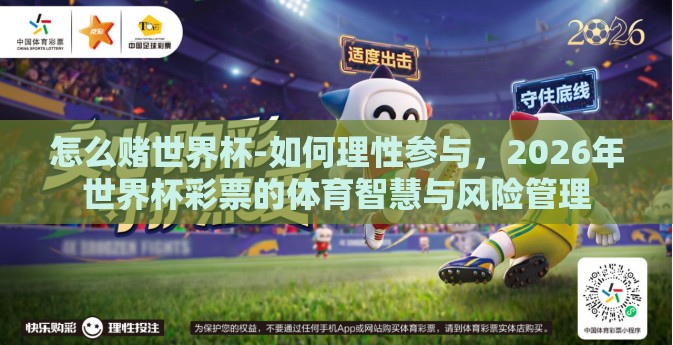 怎么赌世界杯-如何理性参与，2026年世界杯彩票的体育智慧与风险管理