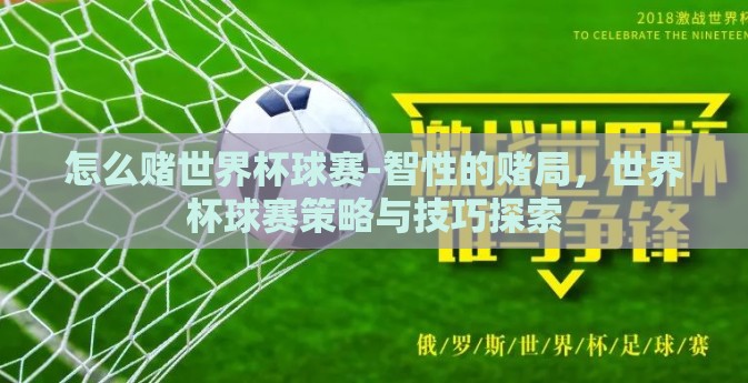 怎么赌世界杯球赛-智性的赌局，世界杯球赛策略与技巧探索