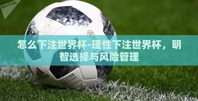 怎么下注世界杯-理性下注世界杯，明智选择与风险管理