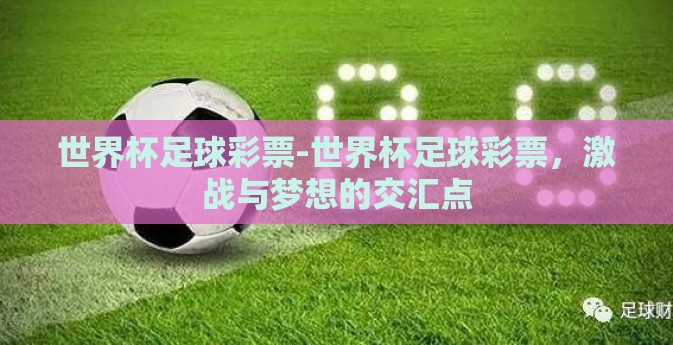 世界杯足球彩票-世界杯足球彩票,激战与梦想的交汇点 世界杯足球彩票-世界杯足球彩票,激战与梦想的交汇点