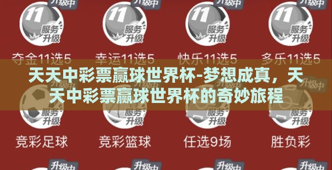 天天中彩票赢球世界杯-梦想成真，天天中彩票赢球世界杯的奇妙旅程