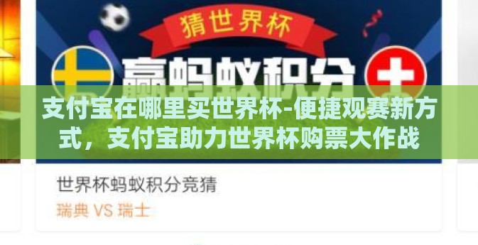 支付宝在哪里买世界杯-便捷观赛新方式，支付宝助力世界杯购票大作战