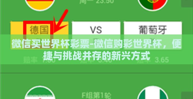微信买世界杯彩票-微信购彩世界杯，便捷与挑战并存的新兴方式