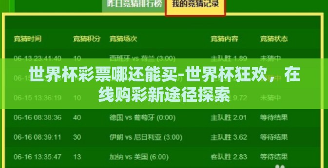 世界杯彩票哪还能买-世界杯狂欢，在线购彩新途径探索