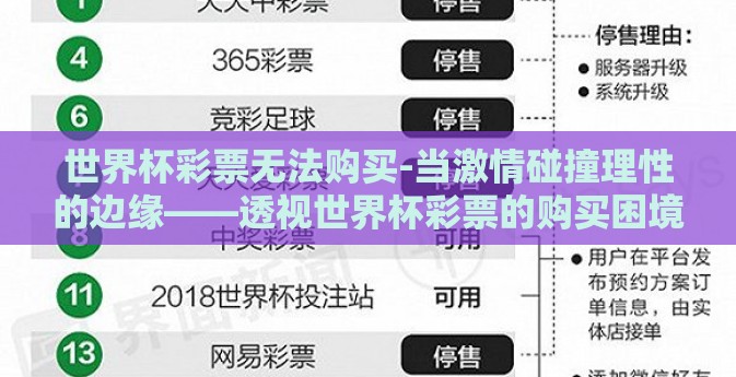 世界杯彩票无法购买-当激情碰撞理性的边缘——透视世界杯彩票的购买困境