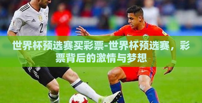 世界杯预选赛买彩票-世界杯预选赛，彩票背后的激情与梦想