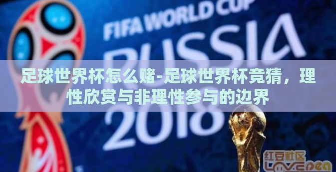 足球世界杯怎么赌-足球世界杯竞猜，理性欣赏与非理性参与的边界