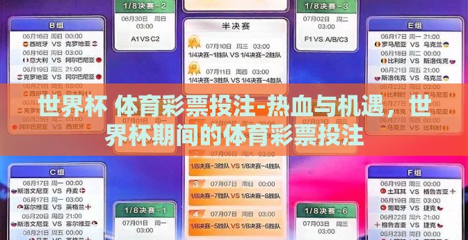 世界杯 体育彩票投注-热血与机遇，世界杯期间的体育彩票投注