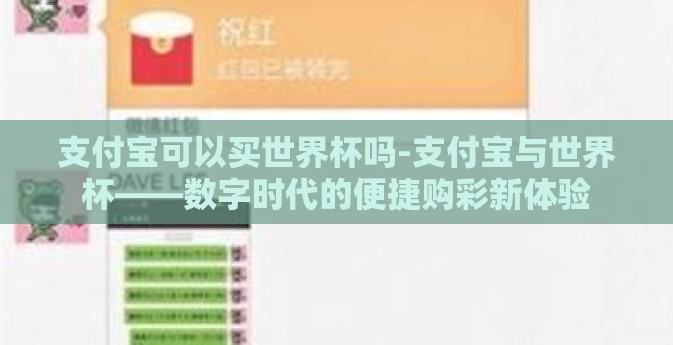 支付宝可以买世界杯吗-支付宝与世界杯——数字时代的便捷购彩新体验