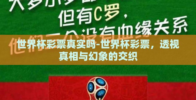 世界杯彩票真实吗-世界杯彩票，透视真相与幻象的交织