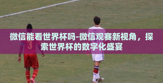 微信能看世界杯吗-微信观赛新视角，探索世界杯的数字化盛宴