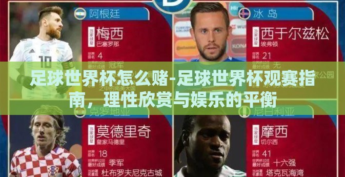 足球世界杯怎么赌-足球世界杯观赛指南，理性欣赏与娱乐的平衡
