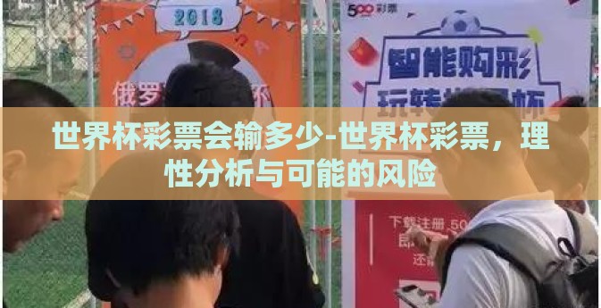 世界杯彩票会输多少-世界杯彩票，理性分析与可能的风险