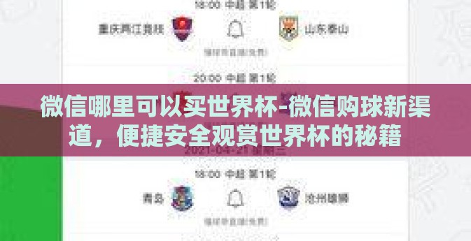 微信哪里可以买世界杯-微信购球新渠道，便捷安全观赏世界杯的秘籍