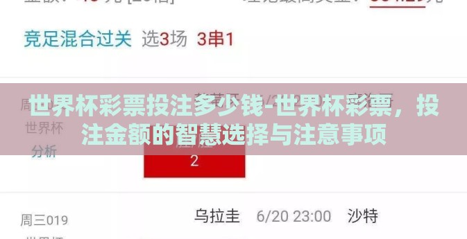世界杯彩票投注多少钱-世界杯彩票，投注金额的智慧选择与注意事项