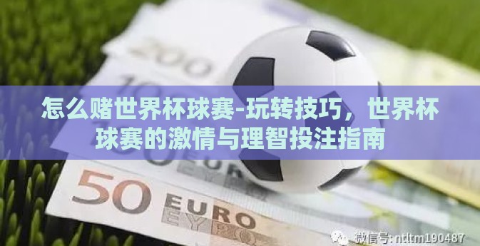 怎么赌世界杯球赛-玩转技巧，世界杯球赛的激情与理智投注指南