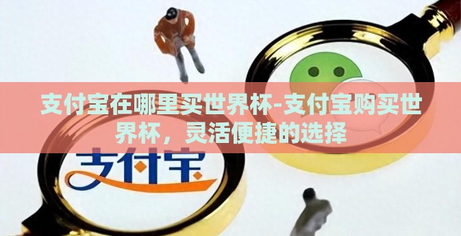 支付宝在哪里买世界杯-支付宝购买世界杯，灵活便捷的选择