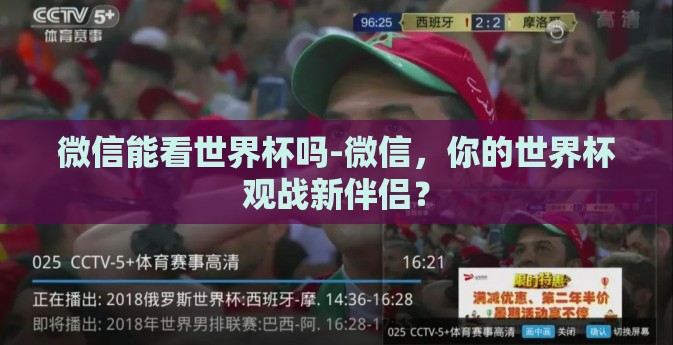 微信能看世界杯吗-微信，你的世界杯观战新伴侣？