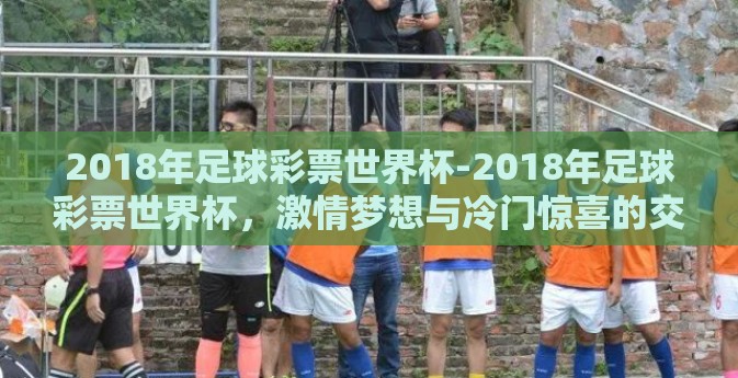 2018年足球彩票世界杯-2018年足球彩票世界杯，激情梦想与冷门惊喜的交织