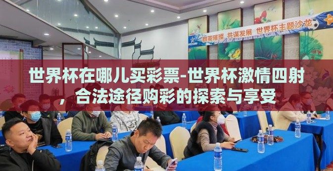 世界杯在哪儿买彩票-世界杯激情四射，合法途径购彩的探索与享受