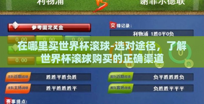 在哪里买世界杯滚球-选对途径，了解世界杯滚球购买的正确渠道
