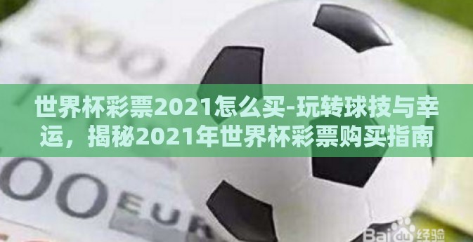 世界杯彩票2021怎么买-玩转球技与幸运，揭秘2021年世界杯彩票购买指南