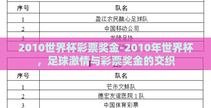 2010世界杯彩票奖金-2010年世界杯，足球激情与彩票奖金的交织