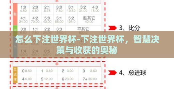 怎么下注世界杯-下注世界杯，智慧决策与收获的奥秘