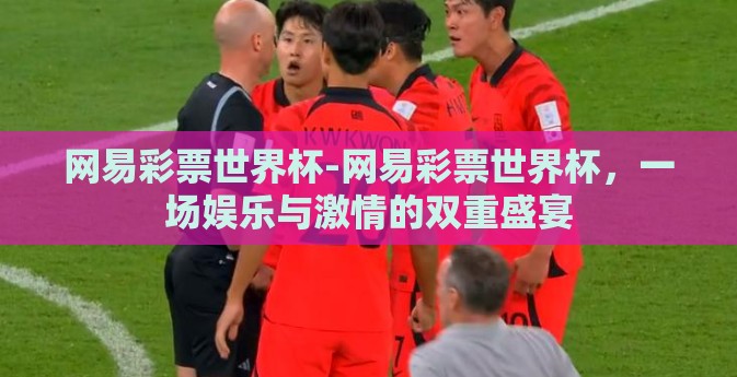 网易彩票世界杯-网易彩票世界杯，一场娱乐与激情的双重盛宴