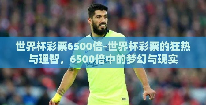世界杯彩票6500倍-世界杯彩票的狂热与理智，6500倍中的梦幻与现实