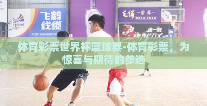 体育彩票世界杯篮球赛-体育彩票，为惊喜与期待的参选
