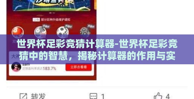 世界杯足彩竞猜计算器-世界杯足彩竞猜中的智慧，揭秘计算器的作用与实际应用