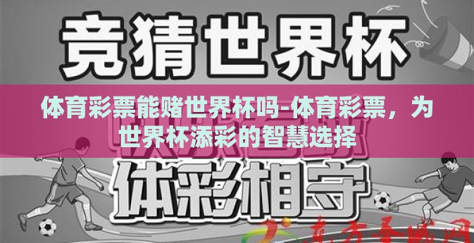 体育彩票能赌世界杯吗-体育彩票，为世界杯添彩的智慧选择