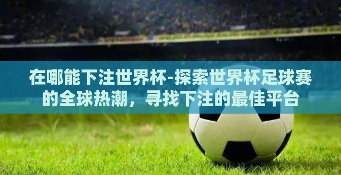 在哪能下注世界杯-探索世界杯足球赛的全球热潮，寻找下注的最佳平台
