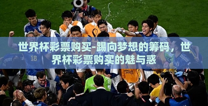 世界杯彩票购买-踢向梦想的筹码,世界杯彩票购买的魅与惑 世界杯彩票购买-踢向梦想的筹码,世界杯彩票购买的魅与惑