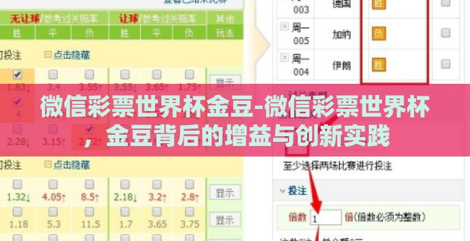 微信彩票世界杯金豆-微信彩票世界杯，金豆背后的增益与创新实践