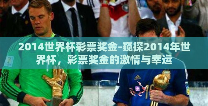 2014世界杯彩票奖金-窥探2014年世界杯，彩票奖金的激情与幸运