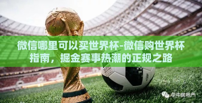 微信哪里可以买世界杯-微信购世界杯指南，掘金赛事热潮的正规之路