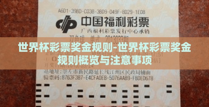 世界杯彩票奖金规则-世界杯彩票奖金规则概览与注意事项
